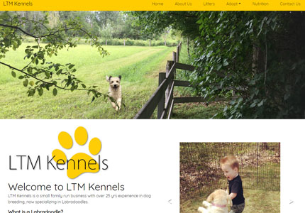 LTM Kennels - Ontario Labradoodle Breeder